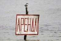 Альпари налоги